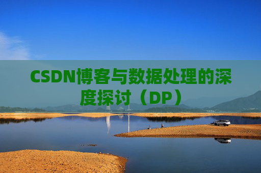 CSDN博客与数据处理的深度探讨（DP）